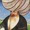 Nasruddin